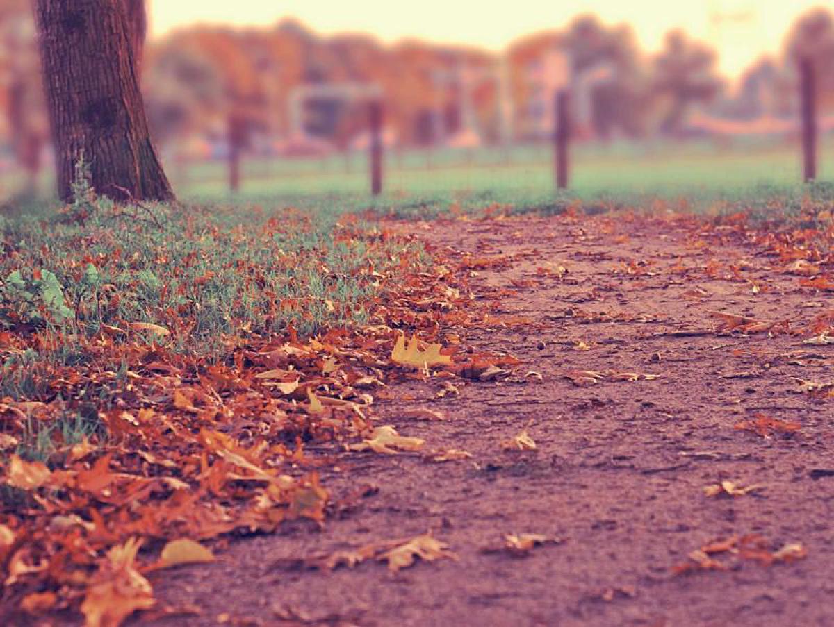 Embracing a Modern, Healthy Lifestyle